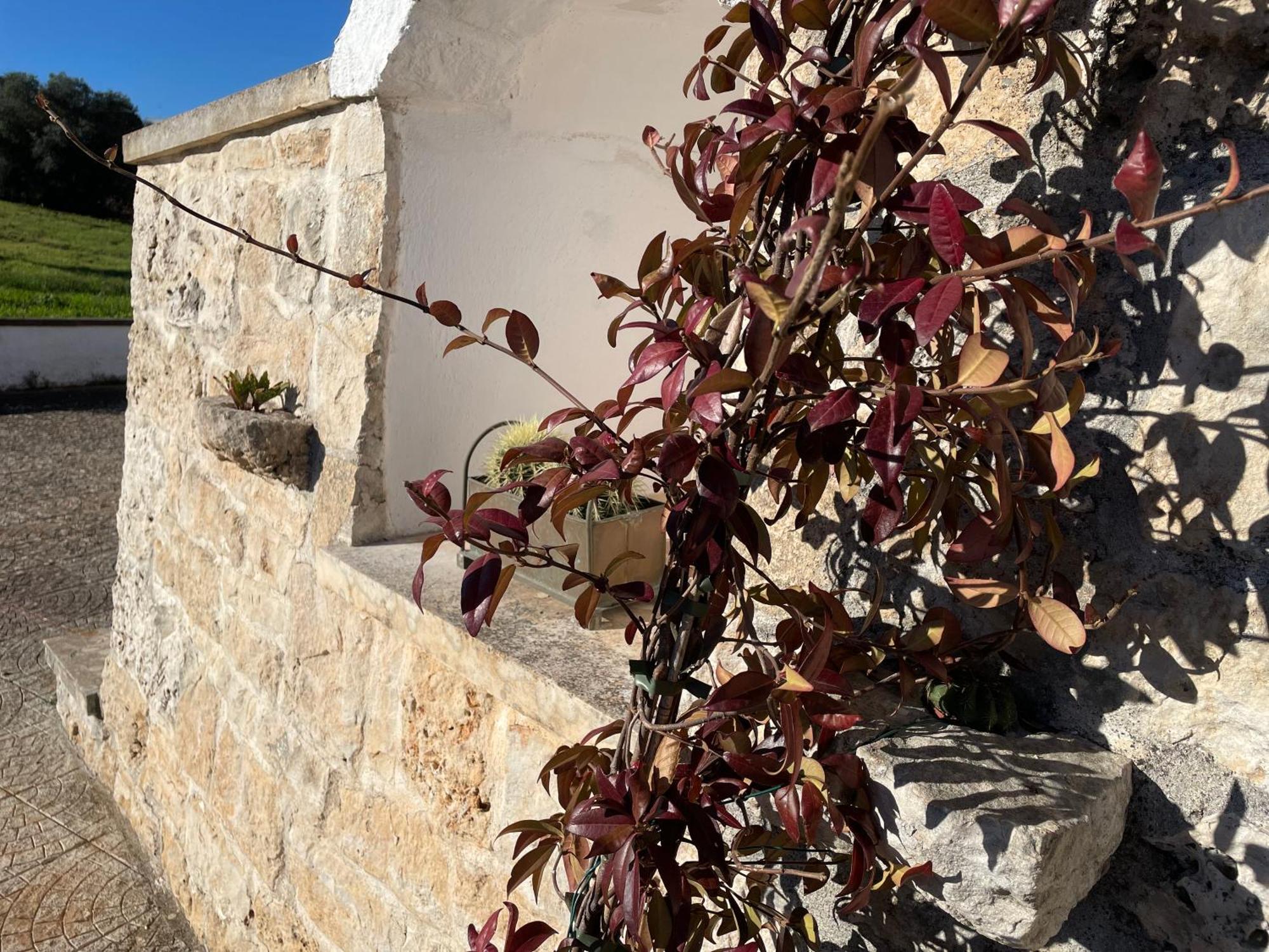 Trulli Del Sole Villa Martina Franca Exteriör bild